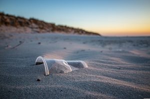 plage avec un couché de soleil avec un verre en plastique dans le sable 